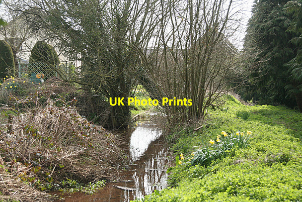 Photo 6"x4" Uplowman: leat approaching Uplowman Cross Green Gate\/ST0115 c2010