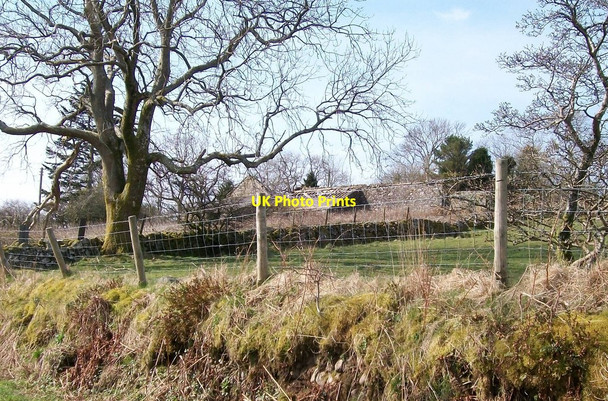 Photo 6"x4" Ruined farm buildings at Ty'r Dewin Bwlch-derwin c2010