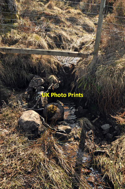 Photo 6"x4" Small stream flowing under the boundary fence Corrimony c2010