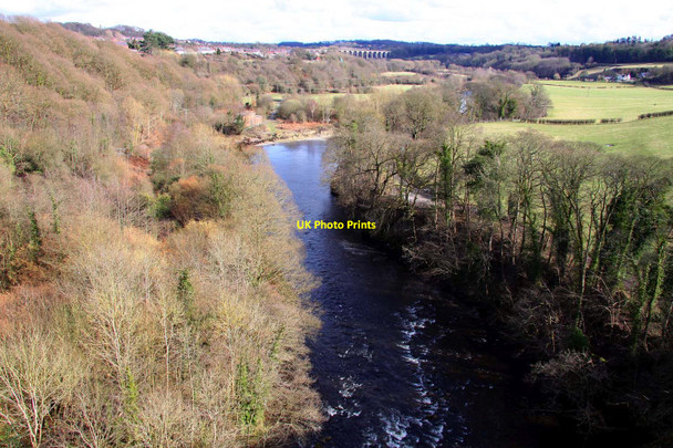 Photo 6"x4" The River Dee from the Pontcysyllte Aqueduct Cefn-bychan\/SJ2741 c2010