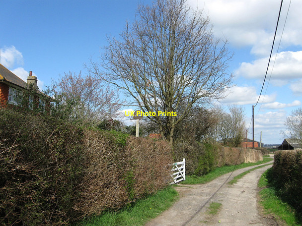 Photo 6"x4" Little Marshfoot Farmhouse Hailsham c2010
