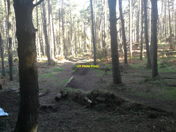 Photo 6"x4" Unofficial downhill cycle race course Leachkin c2010