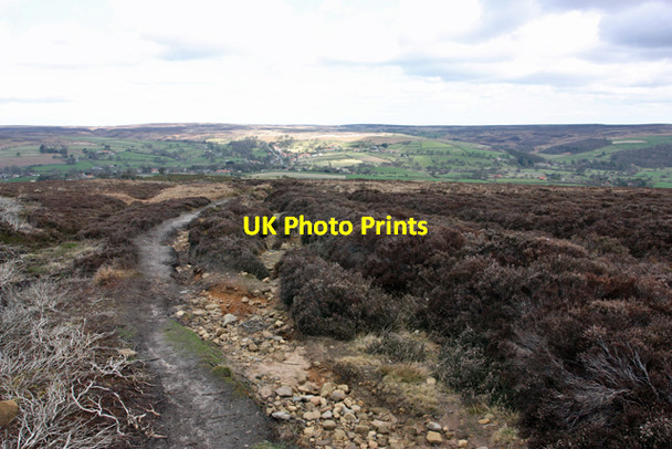 Photo 6"x4" Bridleway to Ainthorpe and Danby Ainthorpe c2010