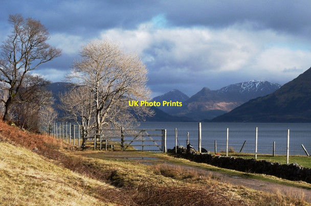 Photo 6"x4" The old road at Inversanda Bay Inversanda c2009