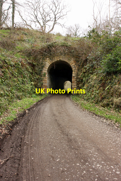 Photo 6"x4" The tunnel, Mulgrave Woods Dunsley\/NZ8511 c2010
