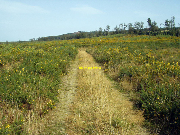 Photo 6"x4" East towards Carrick Mountain Glenealy c2003