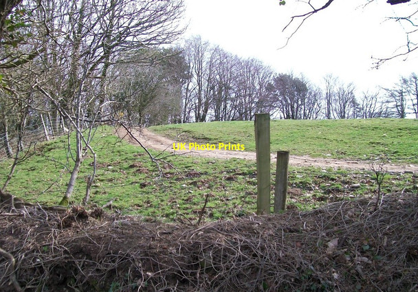 Photo 6"x4" Farm track leading to Glasfryn Fawr Llanaelhaearn c2010