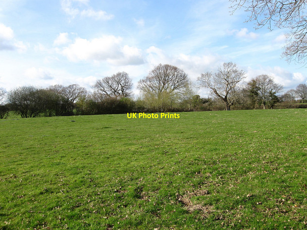 Photo 6"x4" Well Field Golden Cross\/TQ6310 c2010