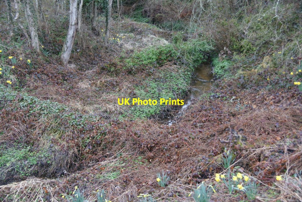 Photo 6"x4" Bridgend Burn, Beauly Beauly c2010