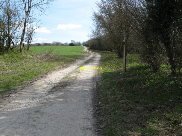 Photo 6"x4" East along the South Downs Way towards Stickingspit Bottom East Lavington c2010