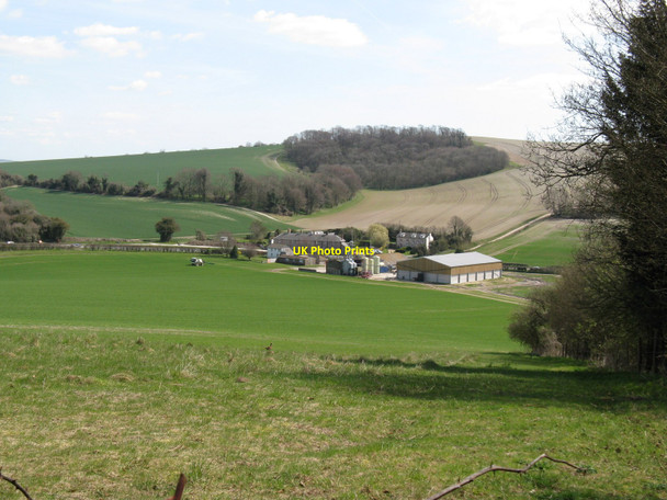 Photo 6"x4" Farm at Dog Kennels East Lavington c2010