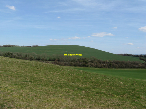 Photo 6"x4" Duncton Down hillside East Lavington c2010