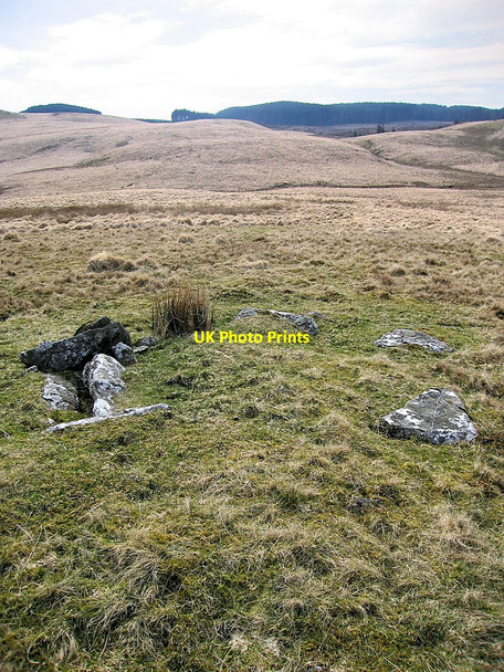 Photo 6"x4" Remnants of a bronze-age cairn at Blaen Camddwr Esgair Ffrwd c2010