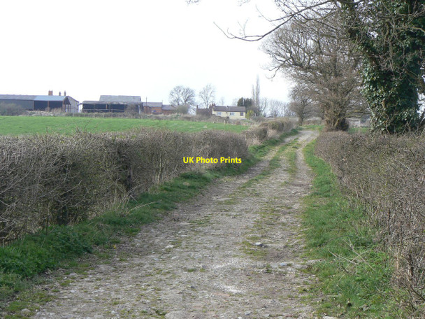 Photo 6"x4" Track past Butterley Park Farm Ripley\/SK4050 c2010