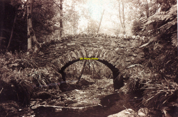 Photo 6"x4" A bridge in the woods Skipness c1997