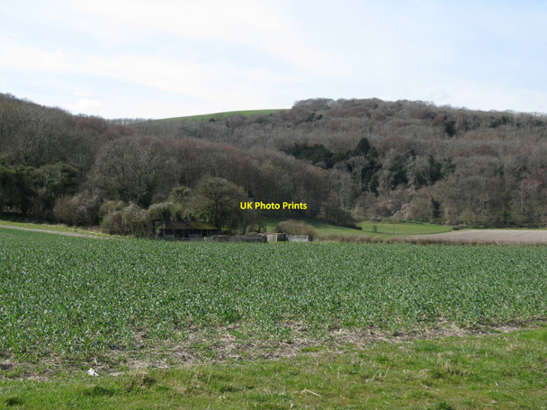 Photo 6"x4" A derelict Wiltshire's Barn from Folly Lane Sutton\/SU9715 c2010