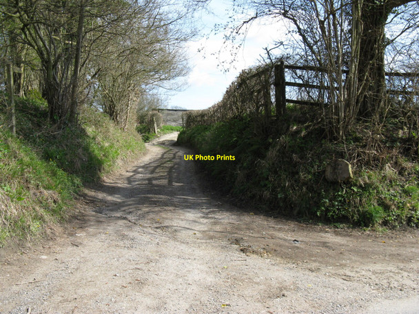 Photo 6"x4" Footpath to Sutton off Folly Lane Sutton\/SU9715 c2010