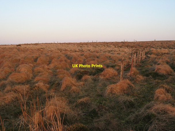 Photo 6"x4" Ruined fence Strathbalne c2010