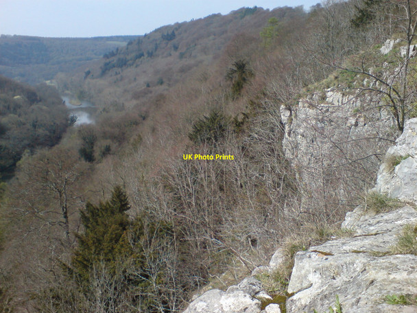 Photo 6"x4" On The Seven Sisters Rocks Little Doward c2010