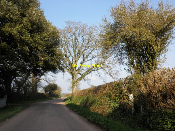 Photo 6"x4" Minor road passes Newlands Higher Burrowtown c2010