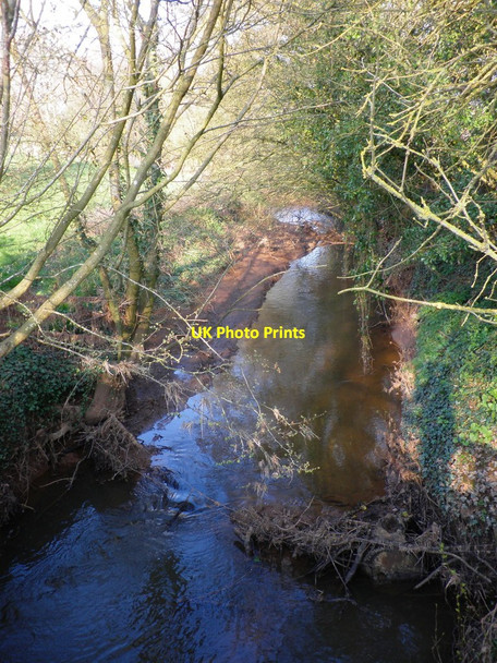 Photo 6"x4" The River Clyst, from Ashclyst Bridge Higher Burrowtown c2010