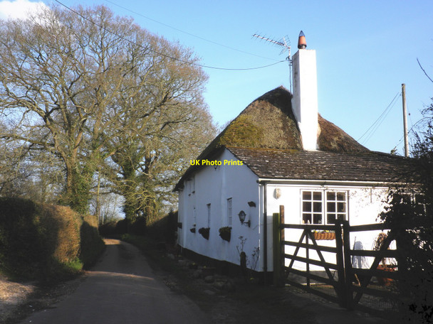 Photo 6"x4" Symes Cottage, on Harepathstead Road Westwood\/SY0198 c2010