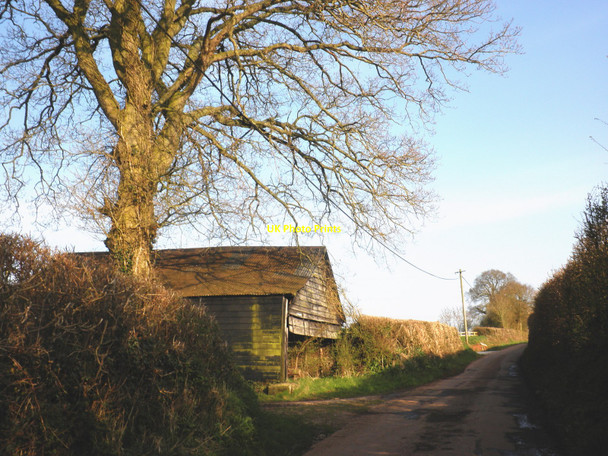 Photo 6"x4" Barn, at Little Barton Westwood\/SY0198 c2010