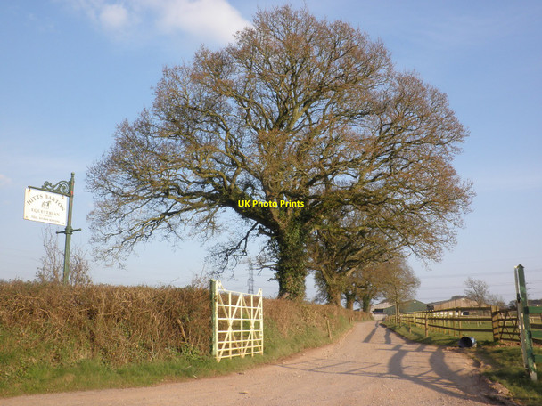 Photo 6"x4" Hitts Barton Equestrian Farm Whimple c2010