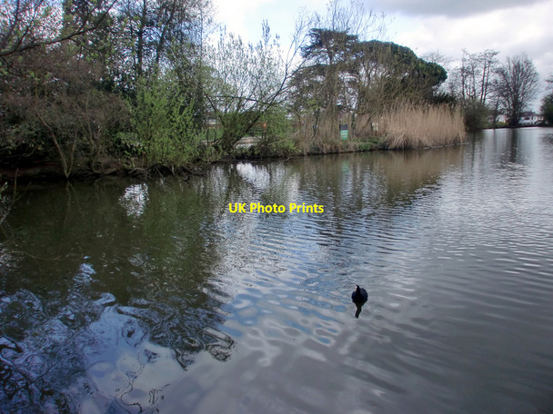 Photo 6"x4" Lake, Oakmere Park, Potters Bar, Hertfordshire Potters Bar c2010 P1