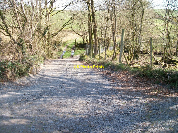Photo 6"x4" Track leading to the Braich-y-saint road Golan c2010