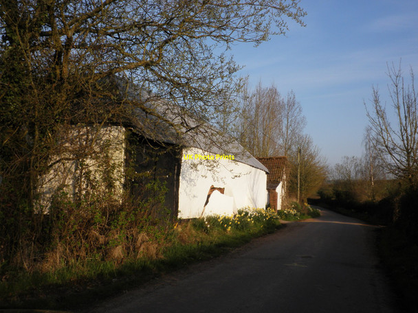 Photo 6"x4" Farm buildings, near Newhayes Whimple c2010