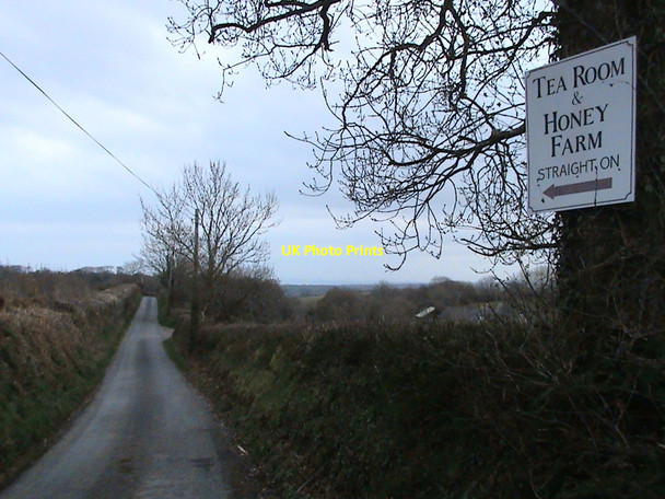 Photo 6"x4" Lane to the Honey Farm Cross Inn\/SN3857 c2010
