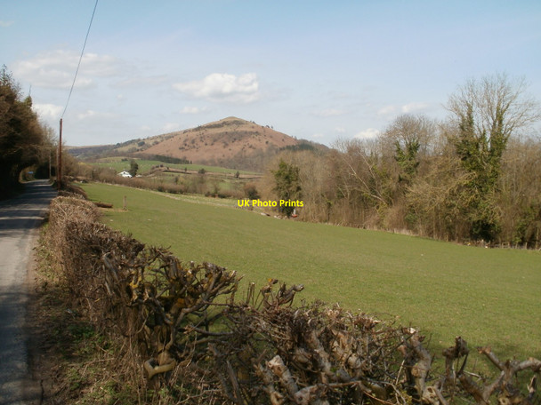 Photo 6"x4" Triley, farmland Llantilio Pertholey c2010
