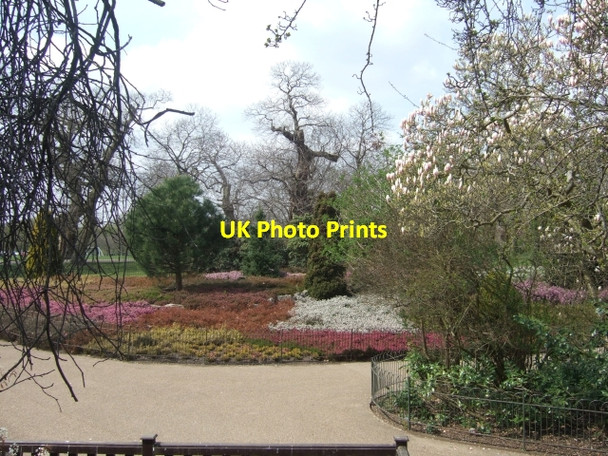 Photo 6"x4" Heather bank and magnolia Greenwich\/TQ3977 c2010