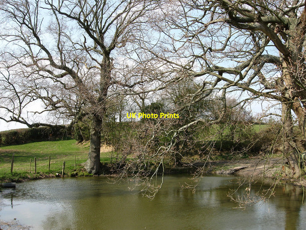 Photo 6"x4" Pond, Pond Field Hailsham c2010