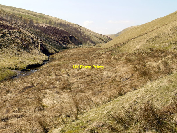 Photo 6"x4" West along the valley of Buckham's Walls Burn Barrow Burn\/NT8610 c2010