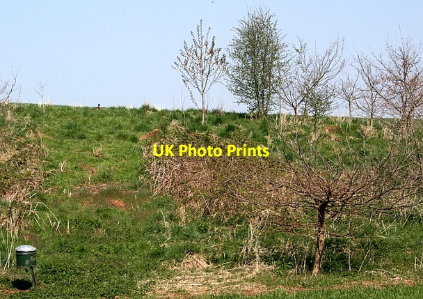 Photo 6"x4" Pheasant feeder Fairfields\/SO7432 c2010