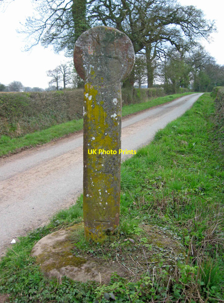 Photo 6"x4" The Buttercross near Alveley Turleygreen c2010