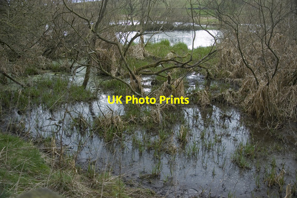 Photo 6"x4" Low Pond, Near Clapham Clapham\/SD7469 c2010
