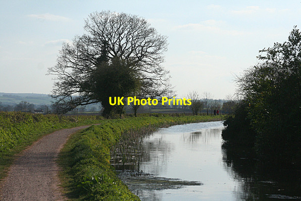 Photo 6"x4" Sampford Peverell: Grand Western Canal 2 Sampford Peverell c2010
