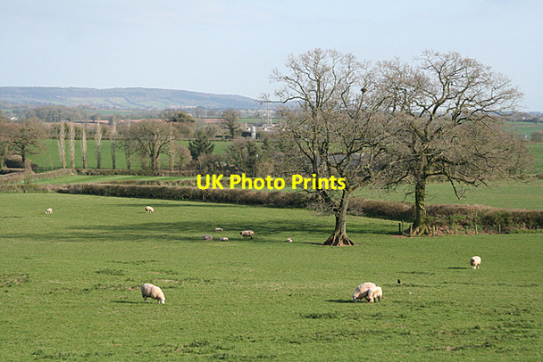 Photo 6"x4" Sampford Peverell: farmland seen from the canal Sampford Peverell c2010