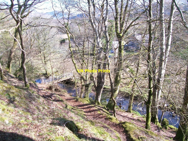 Photo 6"x4" The deeply entrenched Afon Henwy Golan c2010