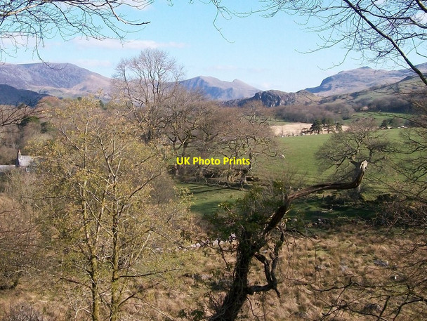 Photo 6"x4" Sheep pastures across Afon Henwy from Golan Golan c2010