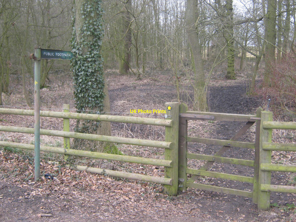 Photo 6"x4" Footpath through grounds of Radbourne Hall next to Radbourne Lane, Derbyshire Mickleover c2010