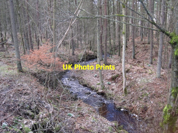 Photo 6"x4" Snaisgill Sike at Snaisgill Aukside c2010