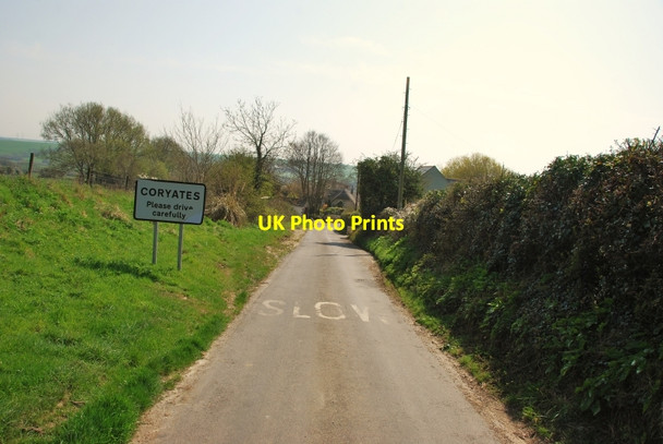 Photo 6"x4" Coryates: Entering the Village Coryates c2010