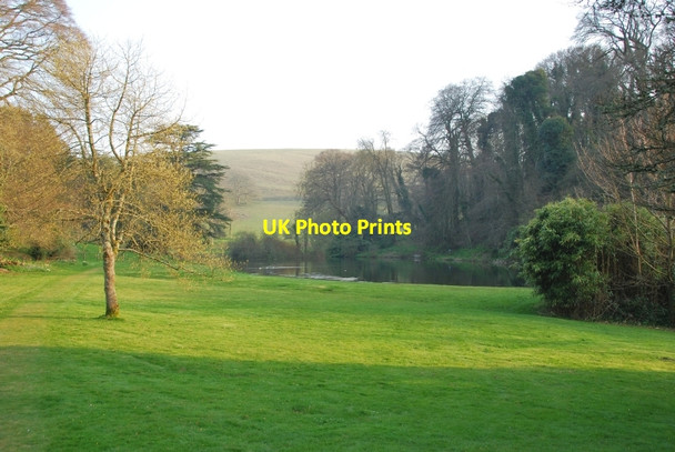 Photo 6"x4" Littlebredy: Bridehead Grounds Littlebredy c2010
