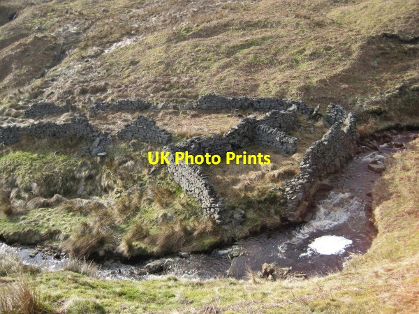 Photo 6"x4" Sheepfold and the Hudeshope Beck Bowlees\/NY9028 c2010