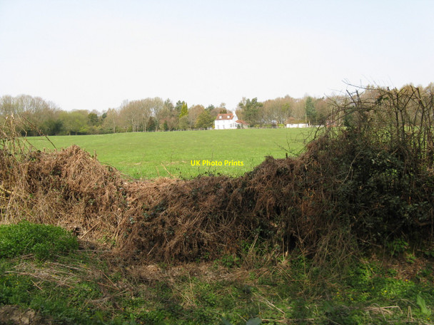 Photo 6"x4" Field view to outskirts of Fairwarp Fairwarp c2010