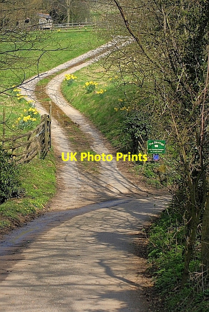 Photo 6"x4" Access Track to The Dimings Aston\/SK1883 c2010